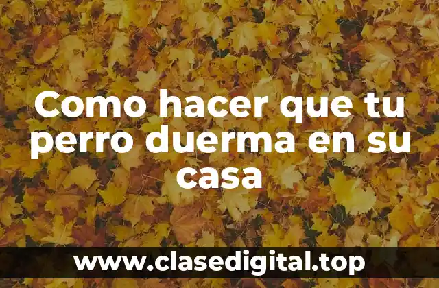 Como hacer que tu perro duerma en su casa