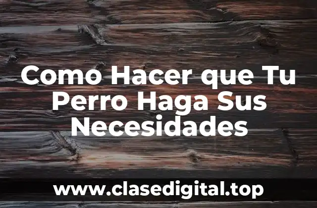 Como Hacer que Tu Perro Haga Sus Necesidades