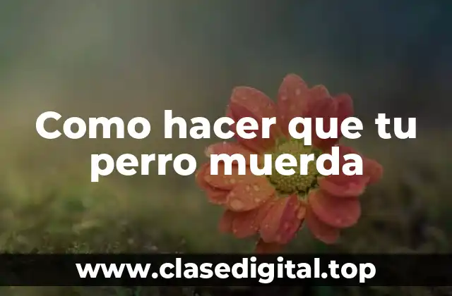 Como hacer que tu perro muerda