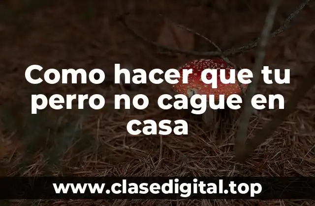 Como hacer que tu perro no cague en casa