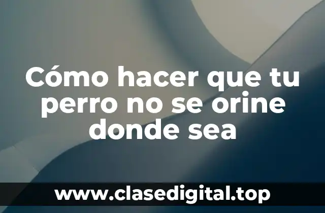 Cómo hacer que tu perro no se orine donde sea