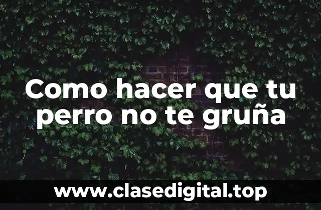 ¿Qué es el gruñido en perros y por qué ocurre?