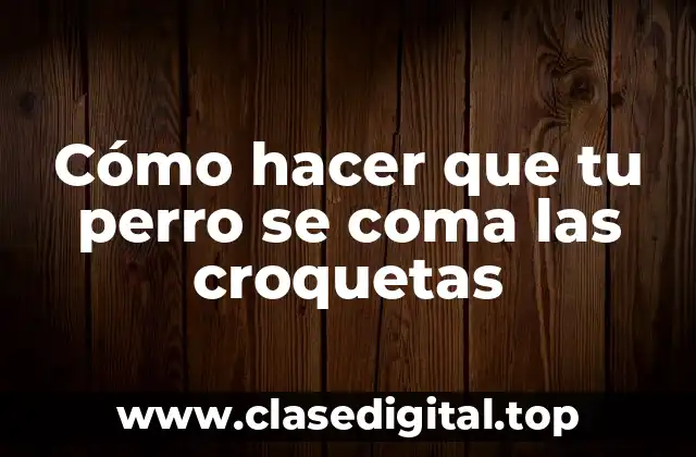 Cómo hacer que tu perro se coma las croquetas