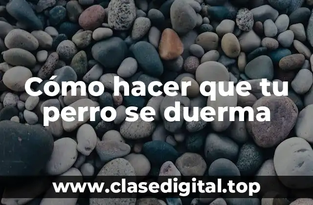 Cómo hacer que tu perro se duerma