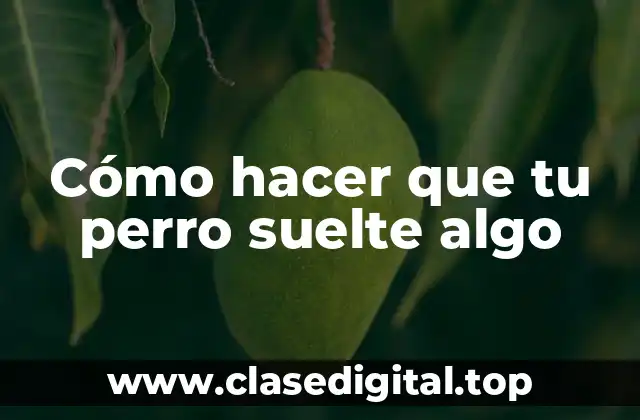 Cómo hacer que tu perro suelte algo