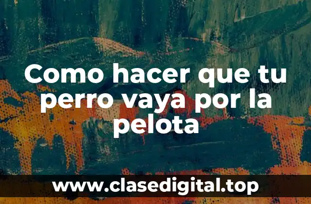 Entrenamiento de perros y pelotas