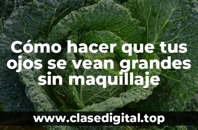 Cómo hacer que tus ojos se vean grandes sin maquillaje