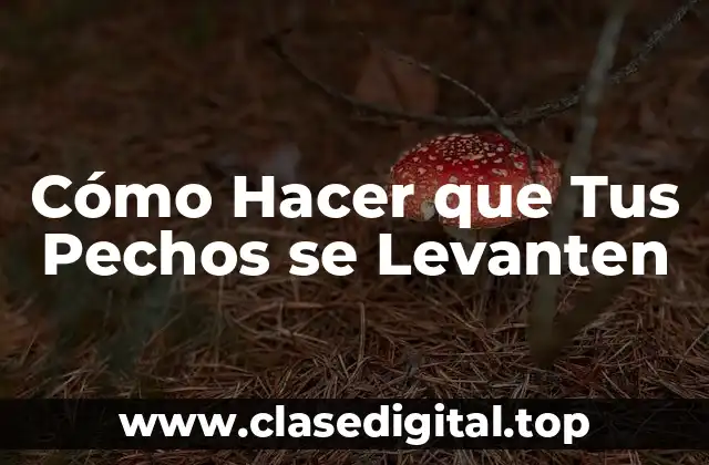 Cómo Hacer que Tus Pechos se Levanten