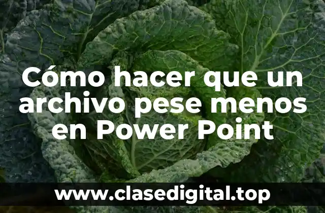 Cómo hacer que un archivo pese menos en Power Point