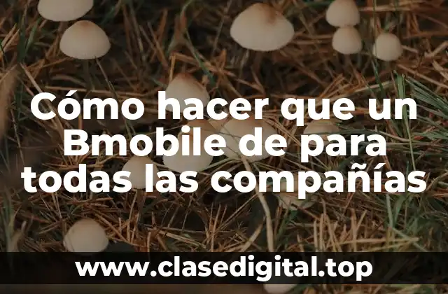 Cómo hacer que un Bmobile de para todas las compañías
