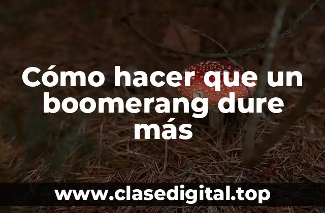 Cómo hacer que un boomerang dure más