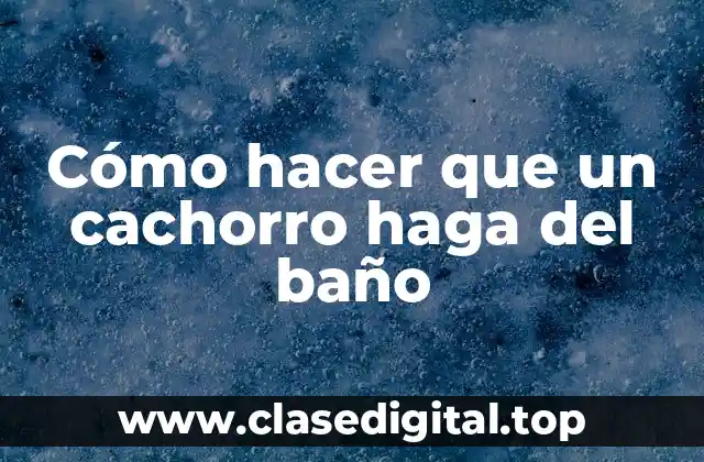 Cómo hacer que un cachorro haga del baño