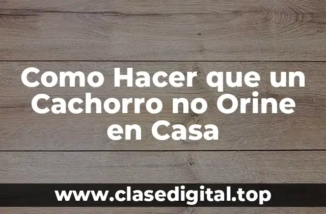 Como Hacer que un Cachorro no Orine en Casa