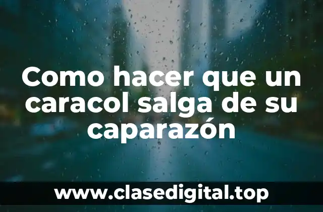 ¿Qué es un caracol y cómo funciona su caparazón?