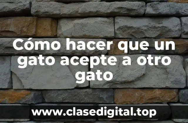 Cómo hacer que un gato acepte a otro gato