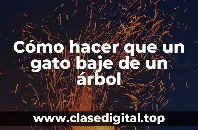 Cómo hacer que un gato baje de un árbol