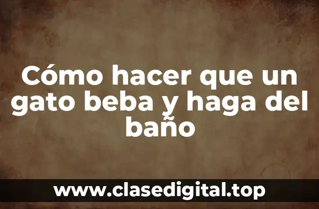 Cómo hacer que un gato beba y haga del baño