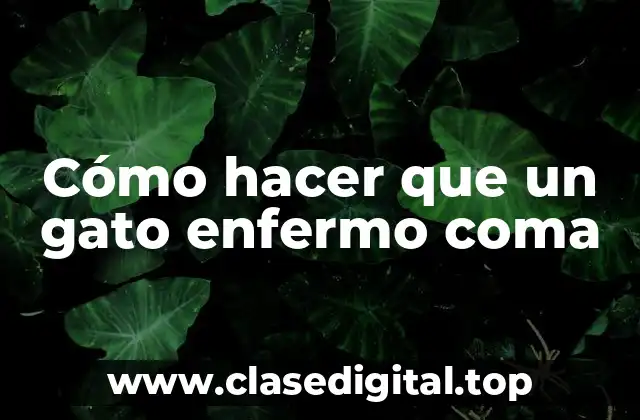 Cómo hacer que un gato enfermo coma