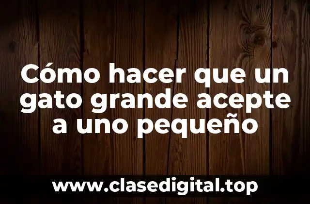 Cómo hacer que un gato grande acepte a uno pequeño
