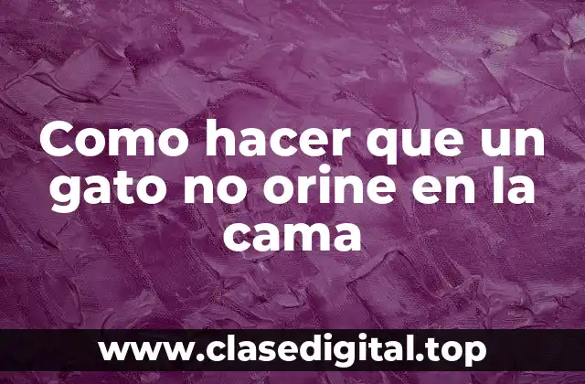 Como hacer que un gato no orine en la cama