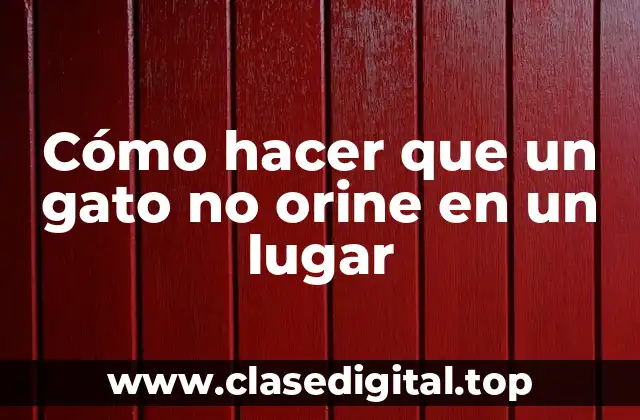 Cómo hacer que un gato no orine en un lugar