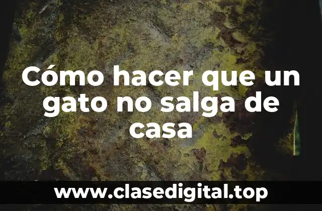 Cómo hacer que un gato no salga de casa