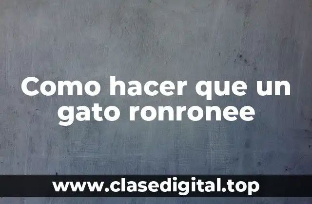 Como hacer que un gato ronronee