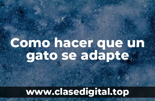 Como hacer que un gato se adapte