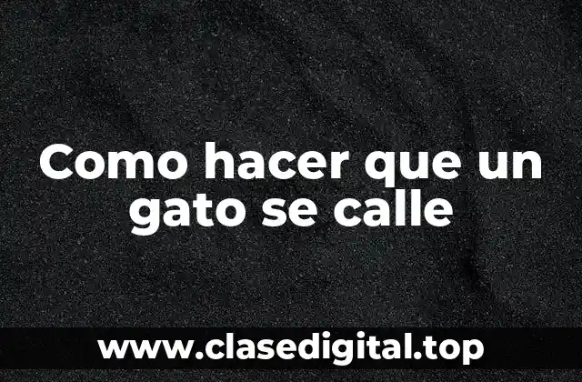 ¿Qué es un gato ruidoso y por qué hace ruido?