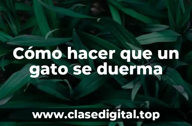 Cómo hacer que un gato se duerma