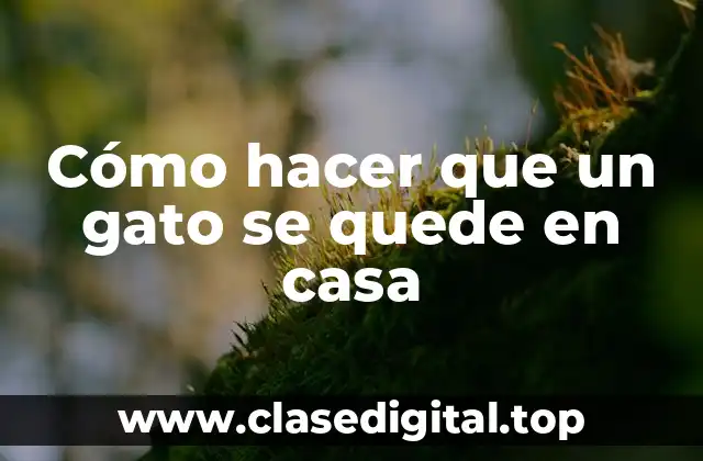 Cómo hacer que un gato se quede en casa