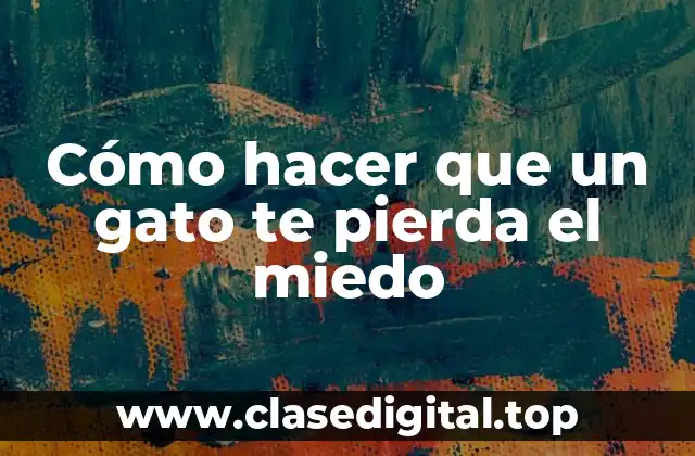 Cómo hacer que un gato te pierda el miedo