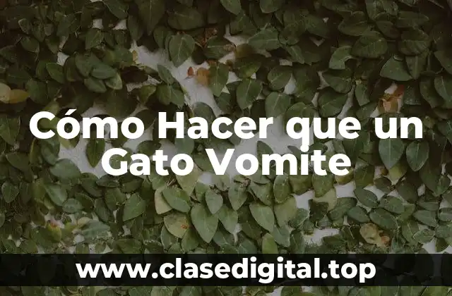 Cómo Hacer que un Gato Vomite