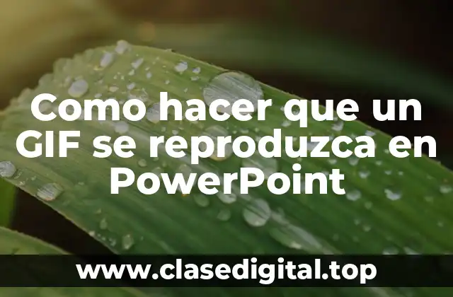 Como hacer que un GIF se reproduzca en PowerPoint