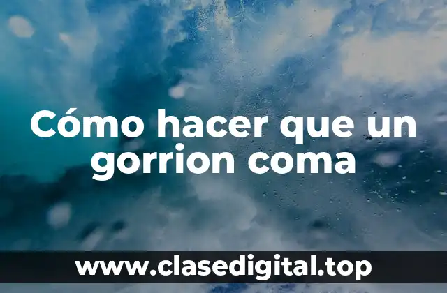 Cómo hacer que un gorrion coma