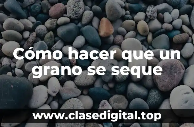 Cómo hacer que un grano se seque