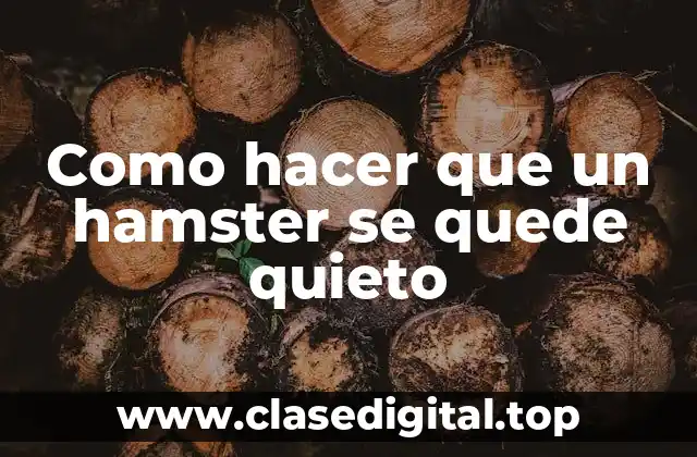 Como hacer que un hamster se quede quieto