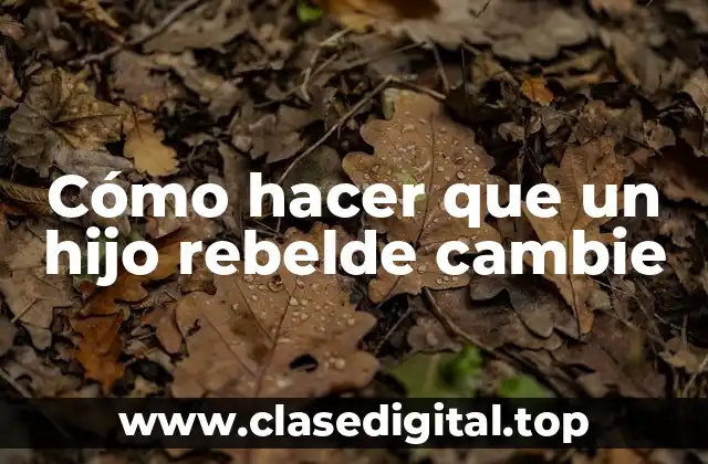 Cómo hacer que un hijo rebelde cambie