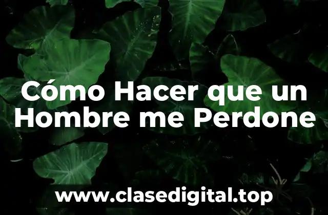 Cómo Hacer que un Hombre me Perdone