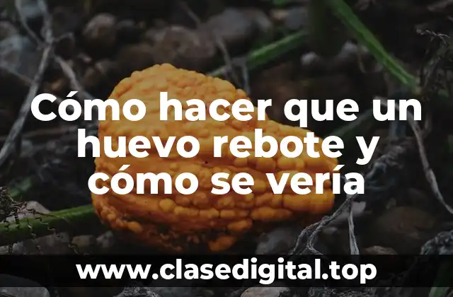 Cómo hacer que un huevo rebote y cómo se vería