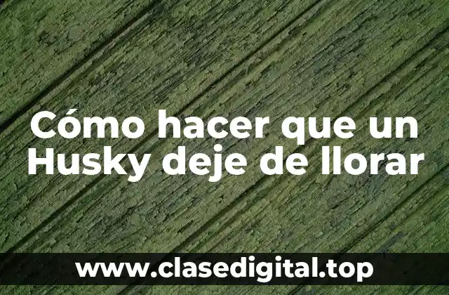 Cómo hacer que un Husky deje de llorar