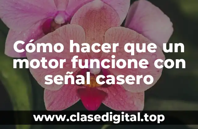 Cómo hacer que un motor funcione con señal casero