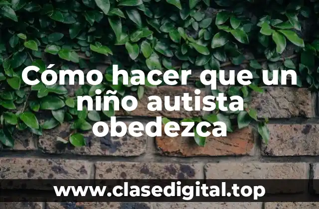Cómo hacer que un niño autista obedezca