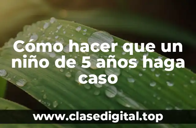 Cómo hacer que un niño de 5 años haga caso
