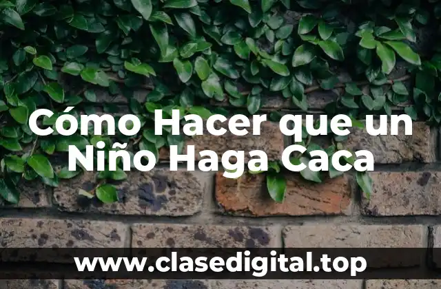 Cómo Hacer que un Niño Haga Caca