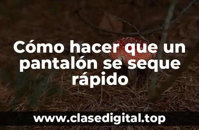 Cómo hacer que un pantalón se seque rápido