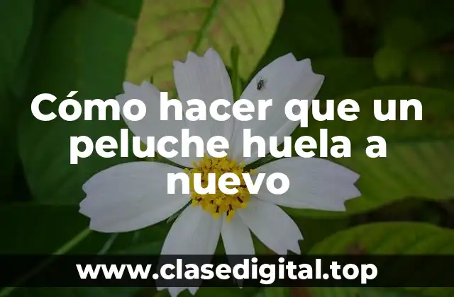 Cómo hacer que un peluche huela a nuevo