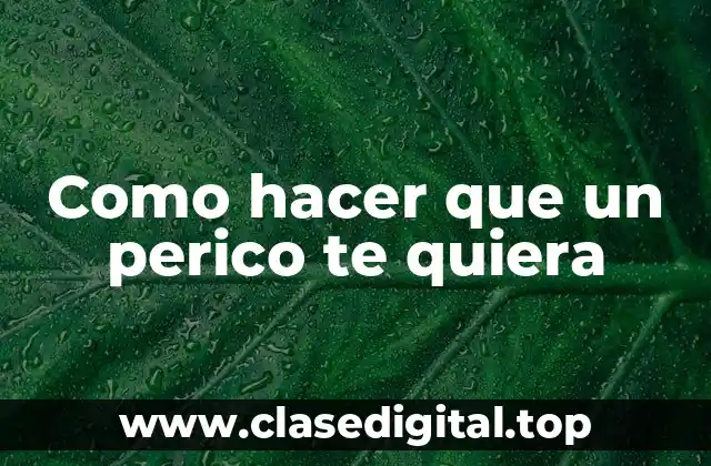 Como hacer que un perico te quiera