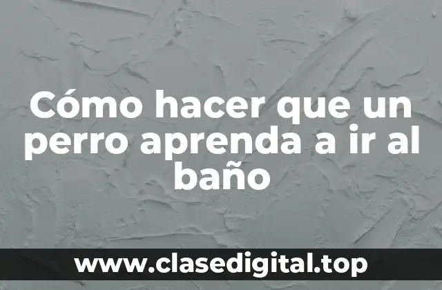 Cómo hacer que un perro aprenda a ir al baño