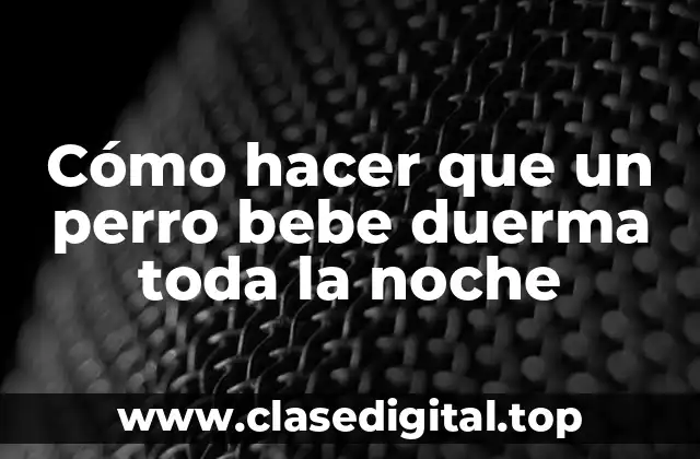 Cómo hacer que un perro bebe duerma toda la noche